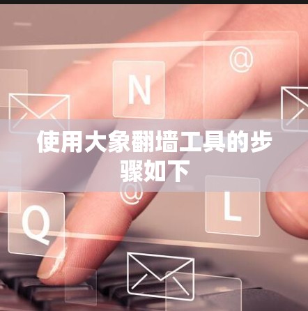 使用大象翻墙工具的步骤如下