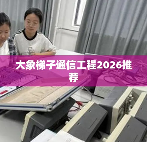 大象梯子通信工程2026推荐