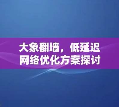 大象翻墙，低延迟网络优化方案探讨