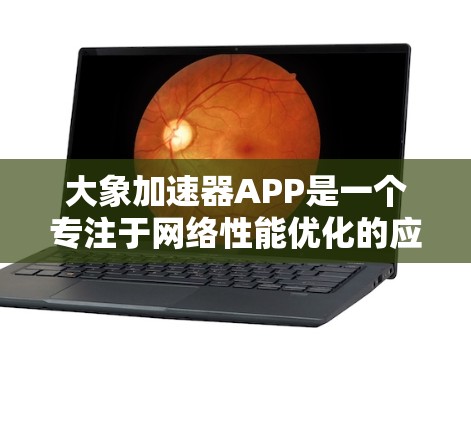 大象加速器APP是一个专注于网络性能优化的应用，旨在帮助用户加速浏览、视频和直播体验。以下是对该应用的详细分析和使用指南